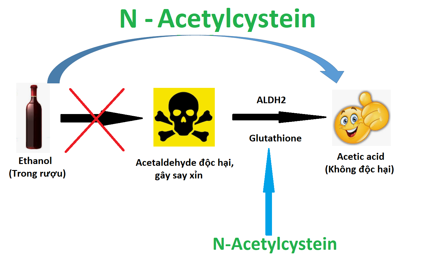 Tác dụng của N-Acetylcystein